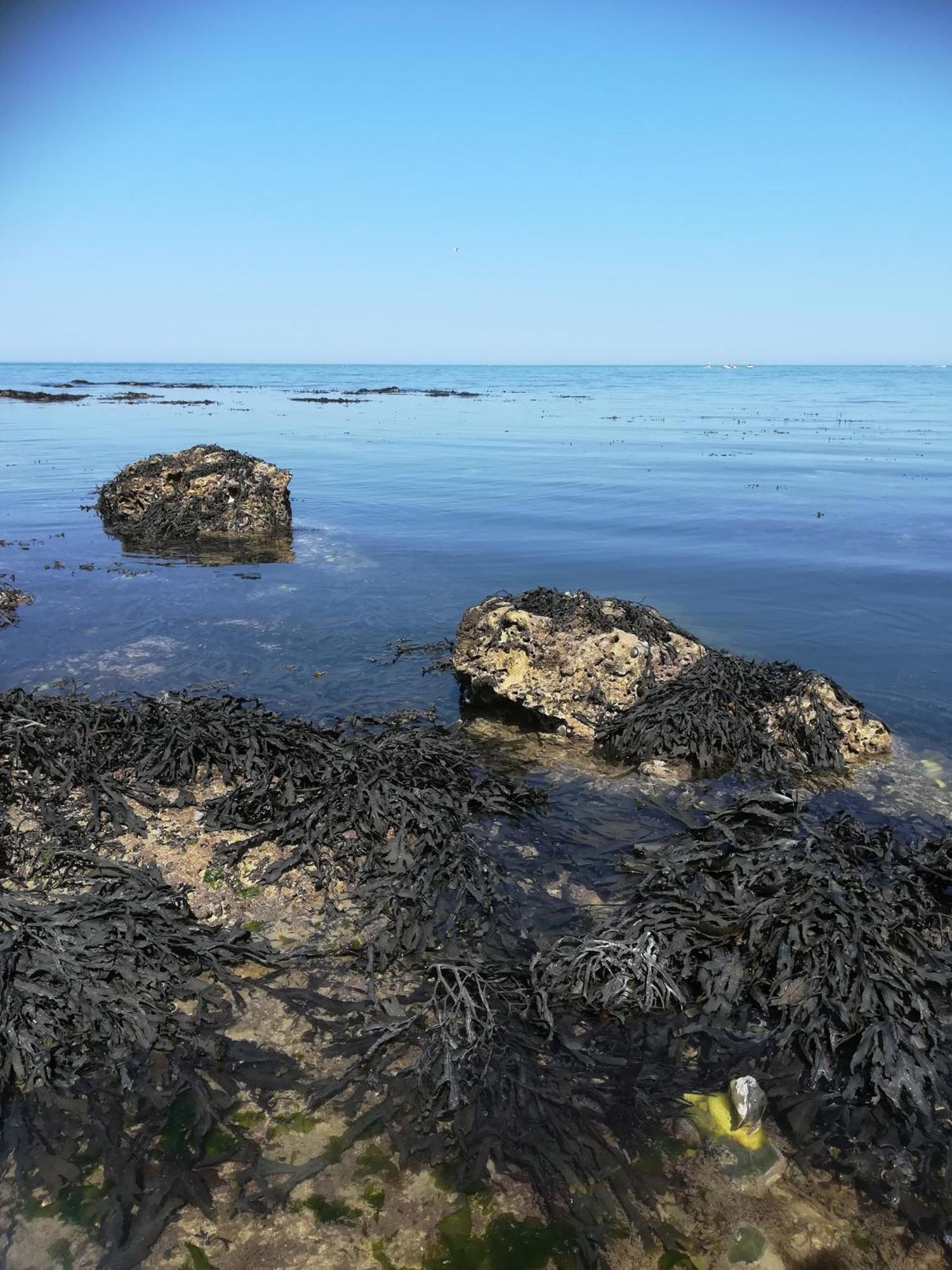 Le Costa Rica En Bord De Mer Villa เฟก็องป์ ภายนอก รูปภาพ